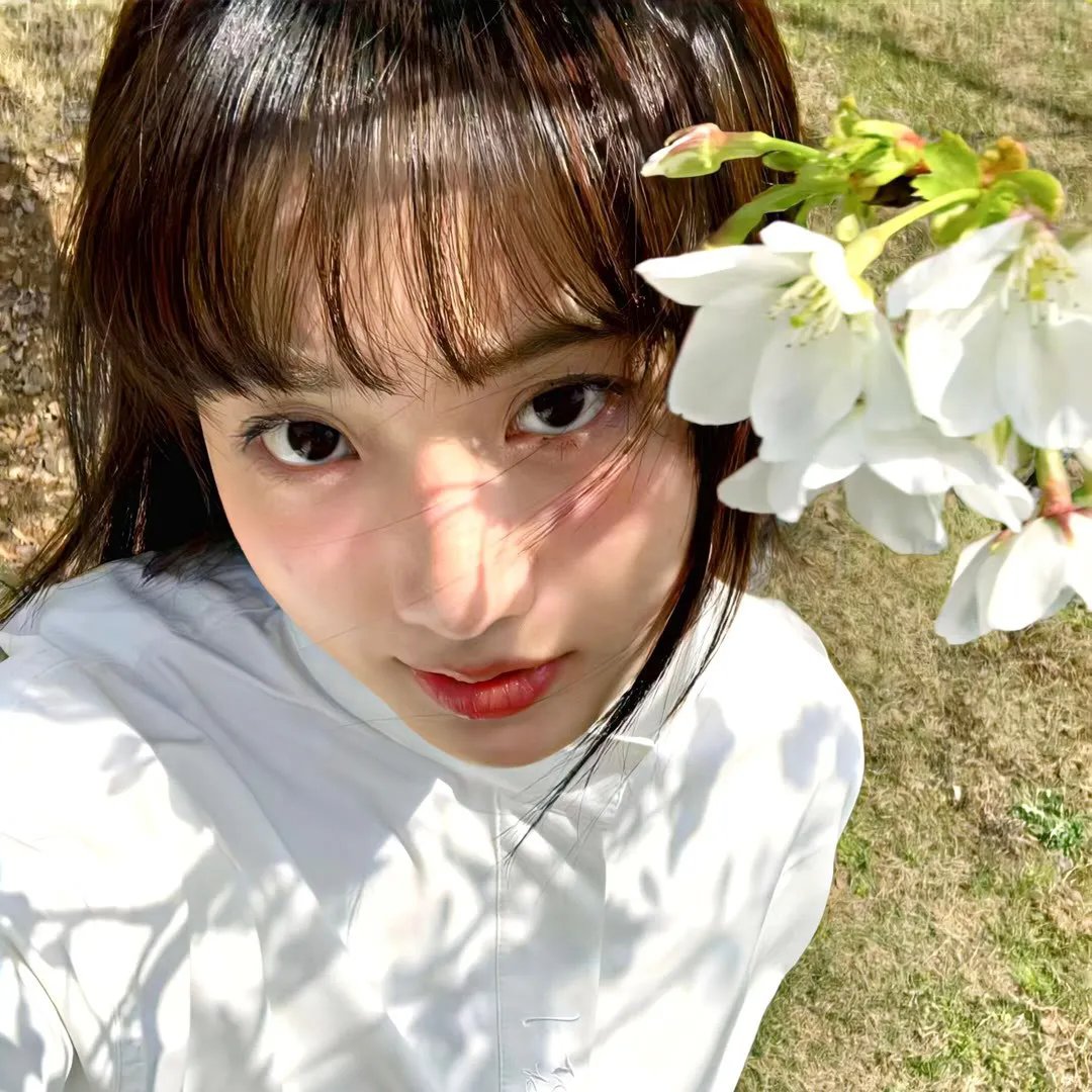 孤雄