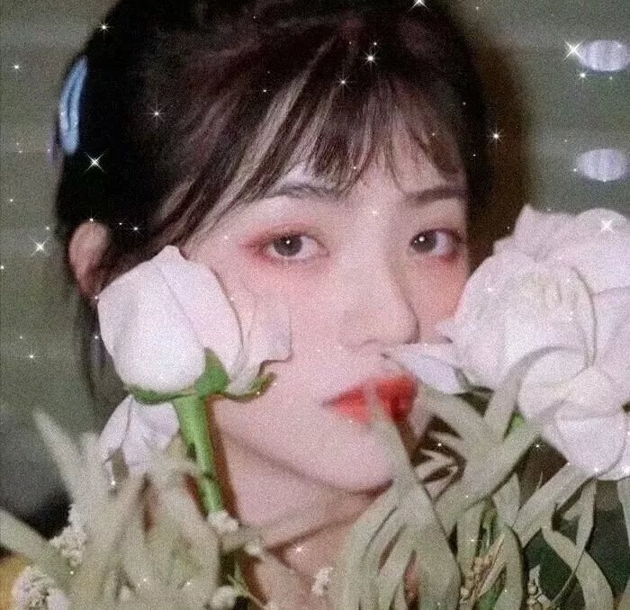 森林中的日与夜