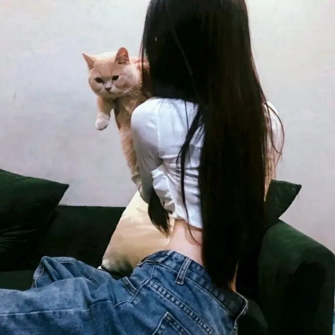 猪猪侠大电影·海洋日记